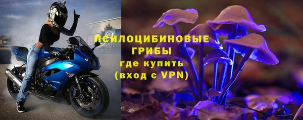 тгк Россошь